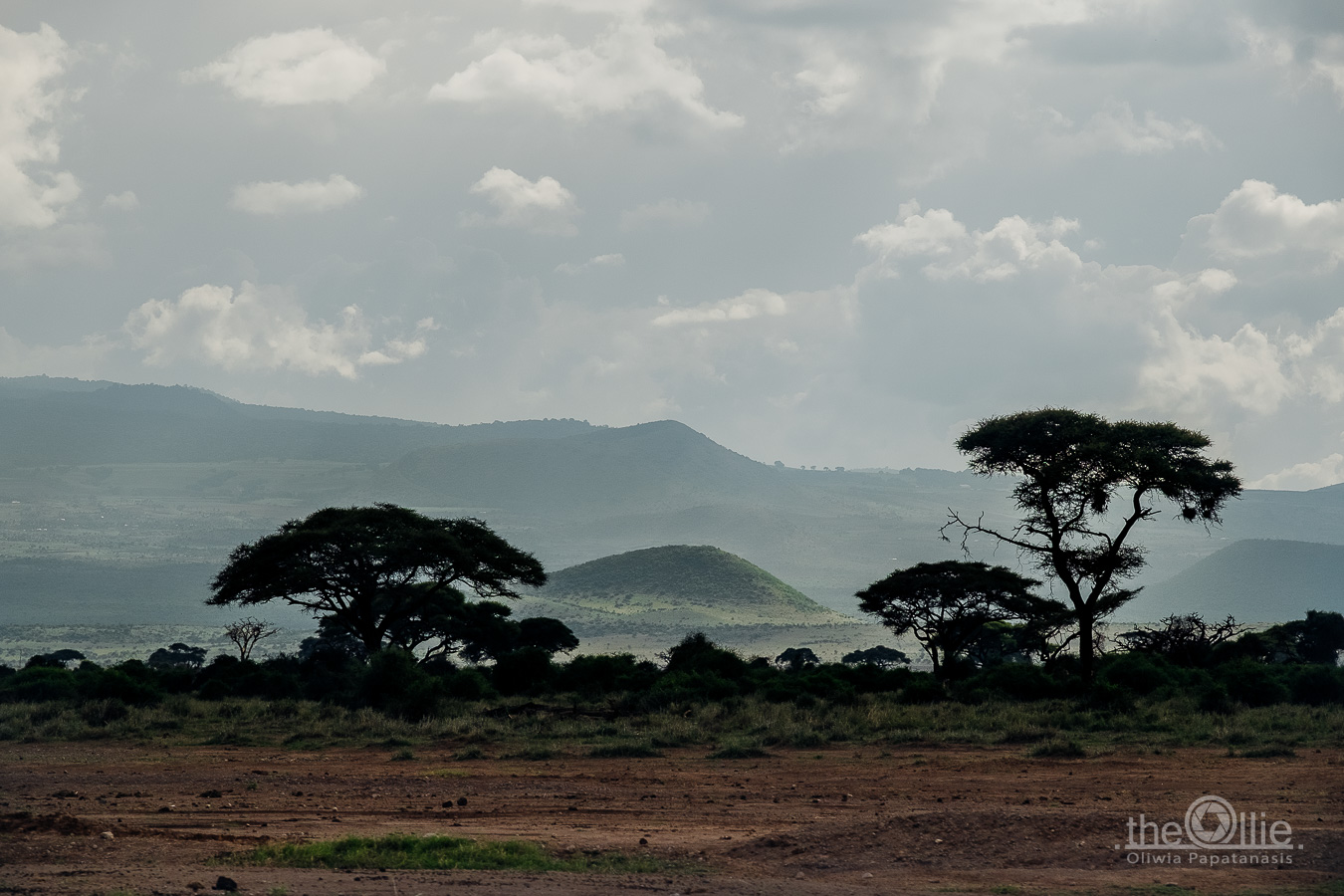 Amboseli Kilimandzaro
